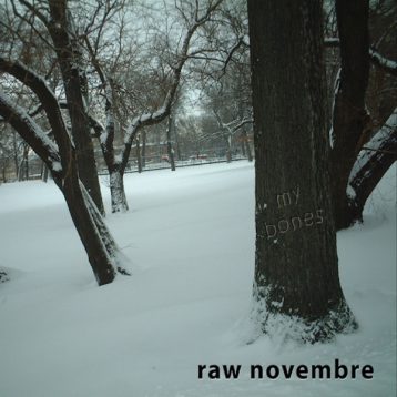 Raw Novembre - My Bones 2007